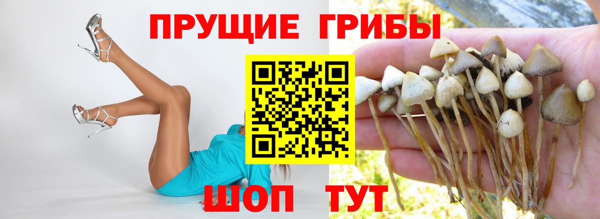 Псилоцибиновые грибы мухоморы  Псилоцибиновые грибы Cubensis  Юрга  Вход с VPN 